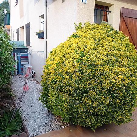 Le Racou Villa อาร์เจเลส-ซัวร์-แมร์ ภายนอก รูปภาพ